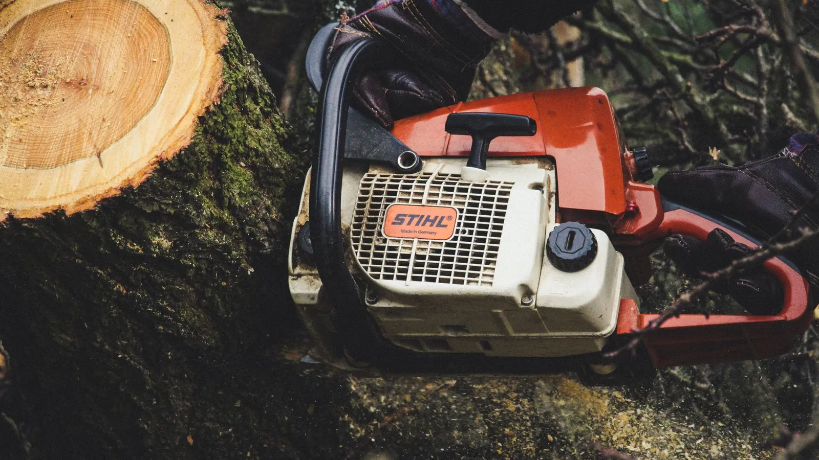 Tronçonneuse thermique posée contre une grume fraîchement tronçonnée en forêt