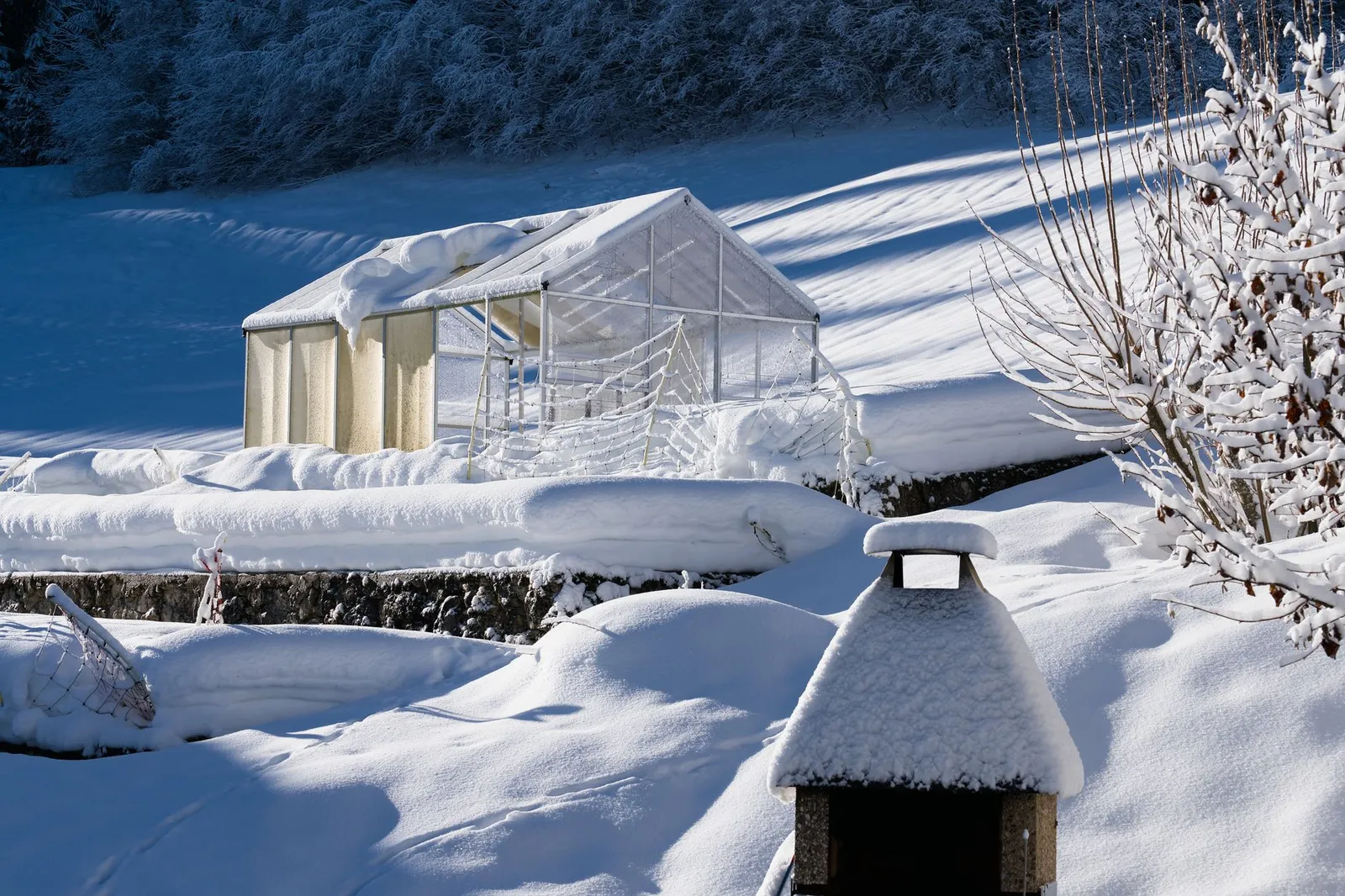 Serre de jardin non chauffée sous la neige, au milieu d'un potager en hiver