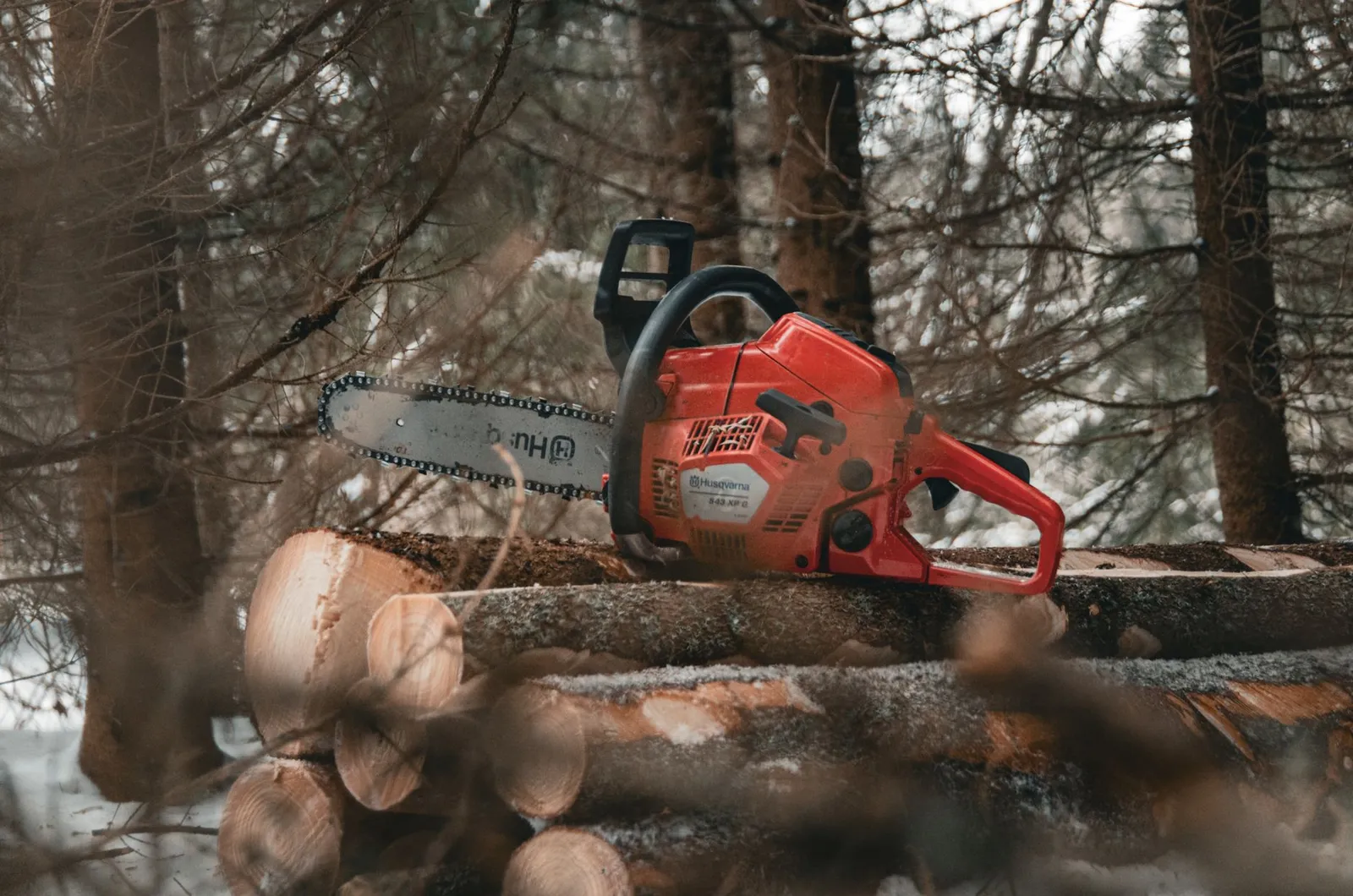 Tronçonneuse thermique posée sur un tas de troncs fraîchement débités en forêt